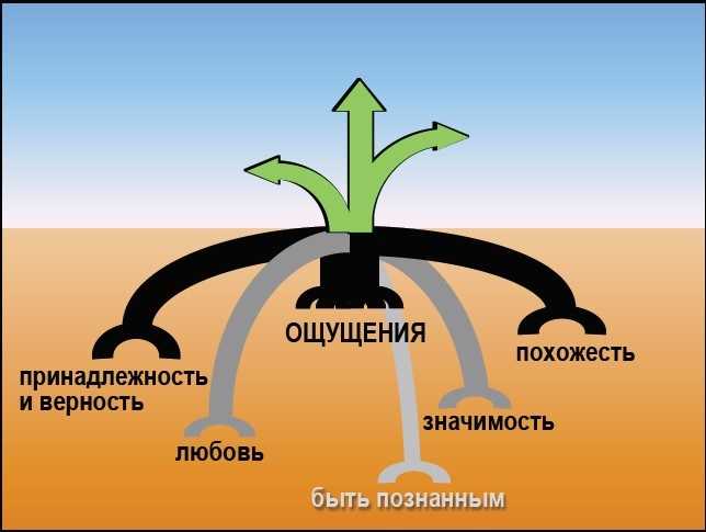 РИС. ПРИВЯЗАННОСТЬ И ЗРЕЛОСТЬ